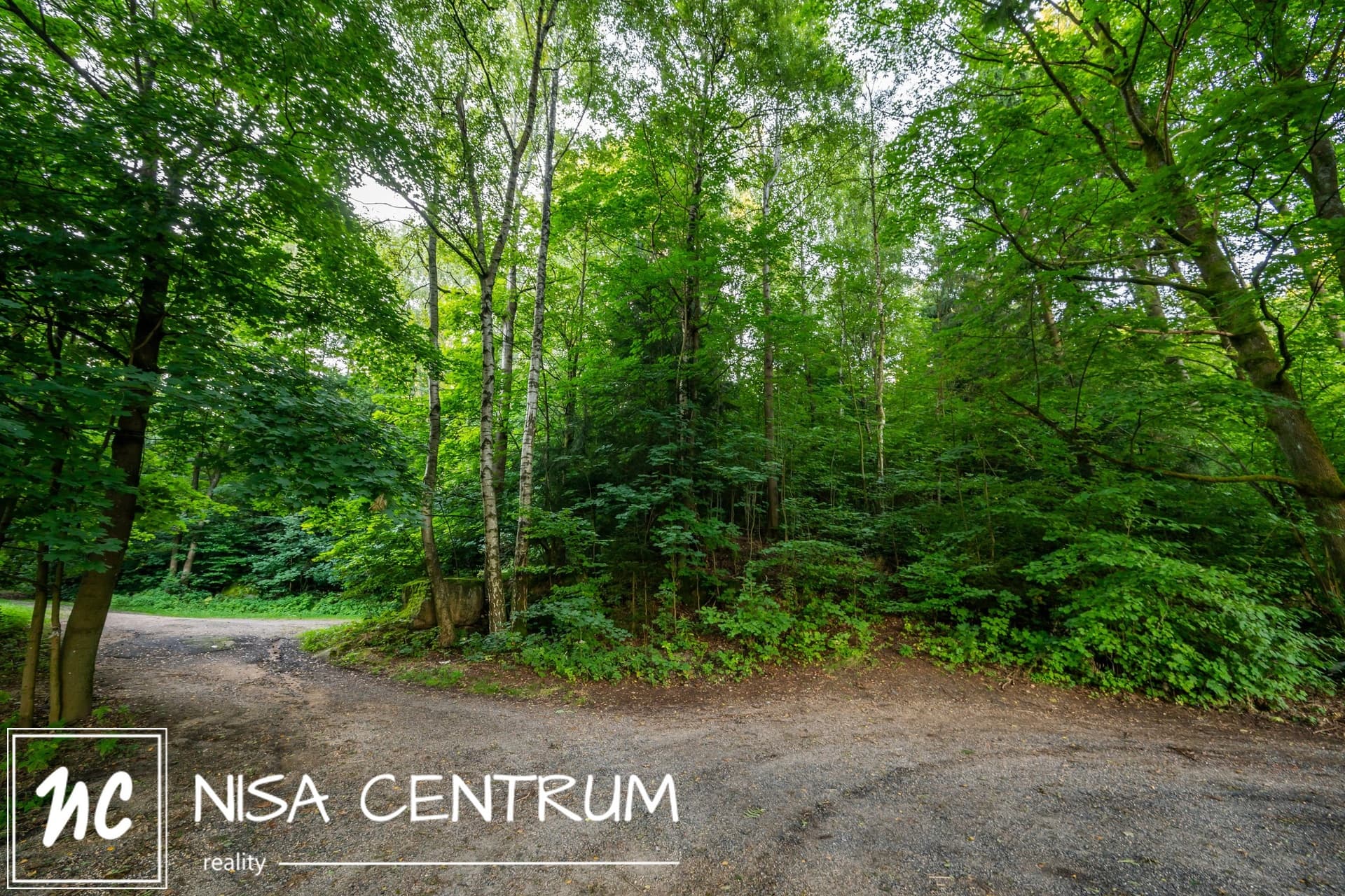 Prodej lesa 5 031 m²